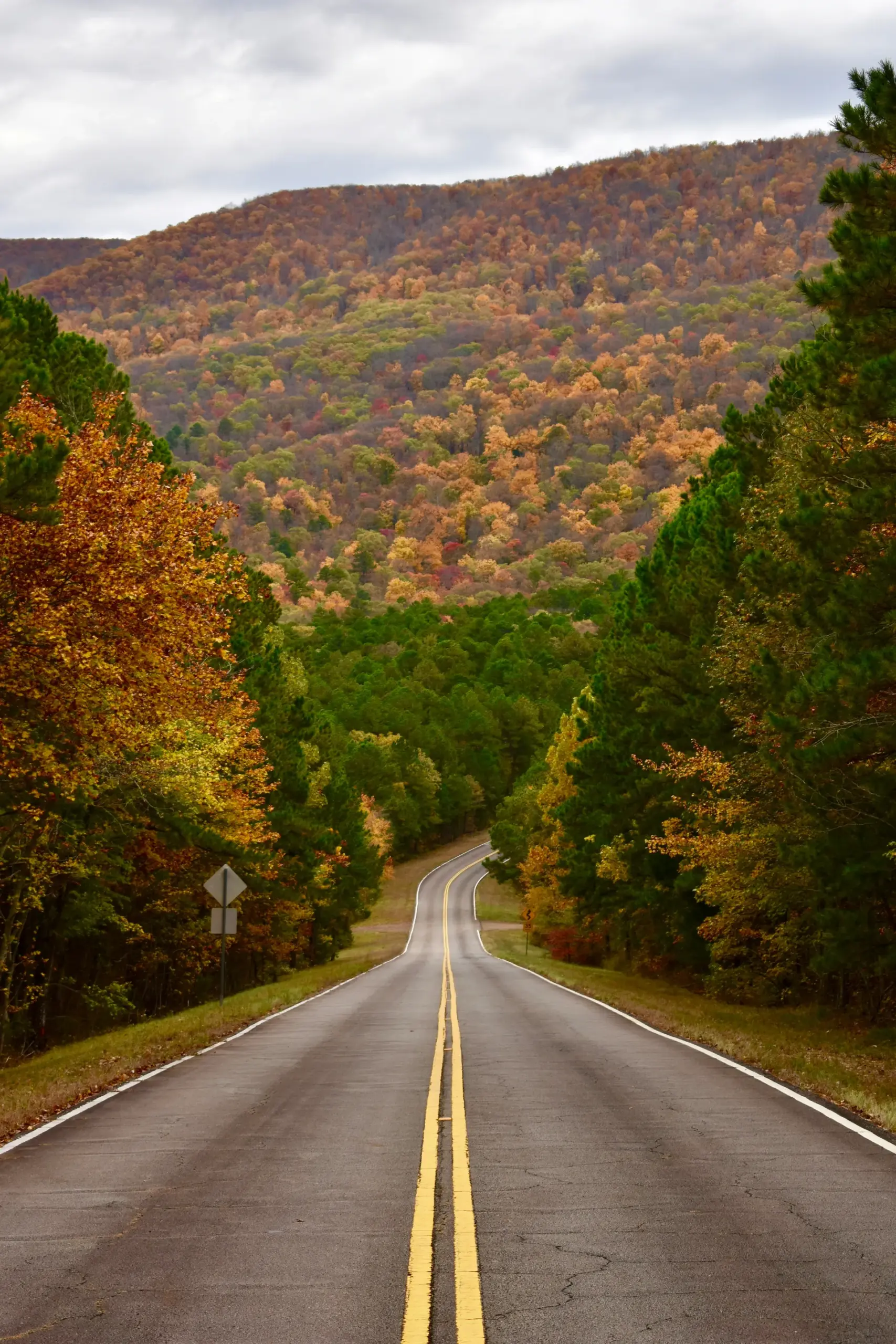 Roadway corridor
